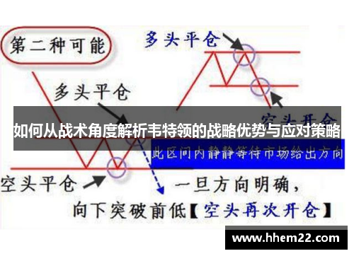 如何从战术角度解析韦特领的战略优势与应对策略